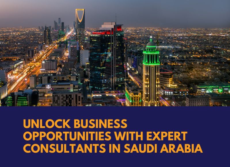 مستشار خبير في تأسيس الأعمال في المملكة العربية السعودية