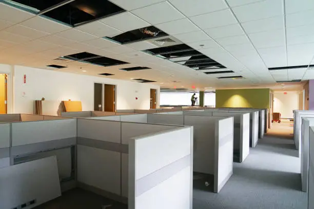 دليل تأسيس الشركات المساهمة في مصر 2025: الشروط ورأس المال والهيكل القانوني